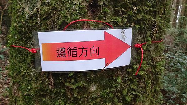 DSC_9104.jpg DSC_9104.jpg