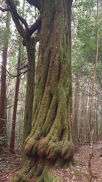 DSC_9107.jpg DSC_9107.jpg