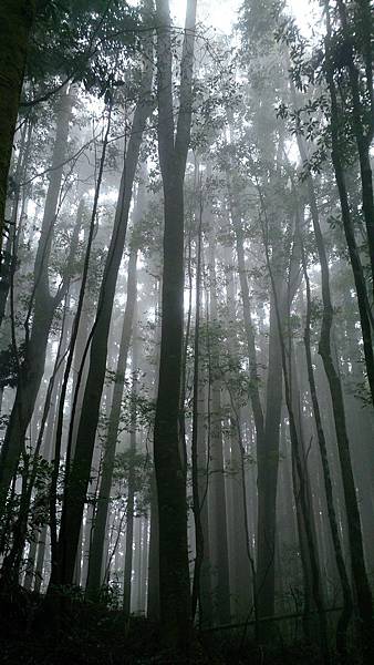 DSC_9110.jpg DSC_9110.jpg