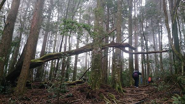 DSC_9112.jpg DSC_9112.jpg