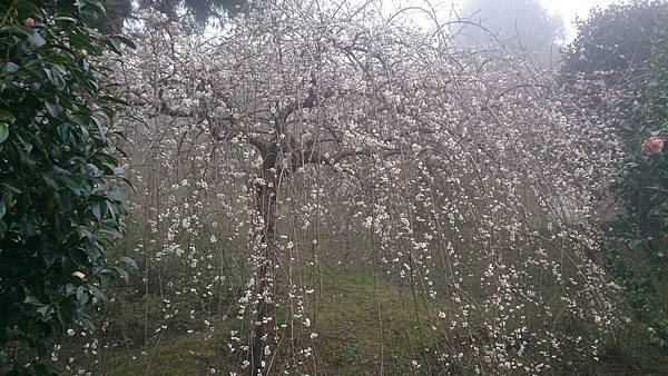 DSC_9119.jpg DSC_9119.jpg