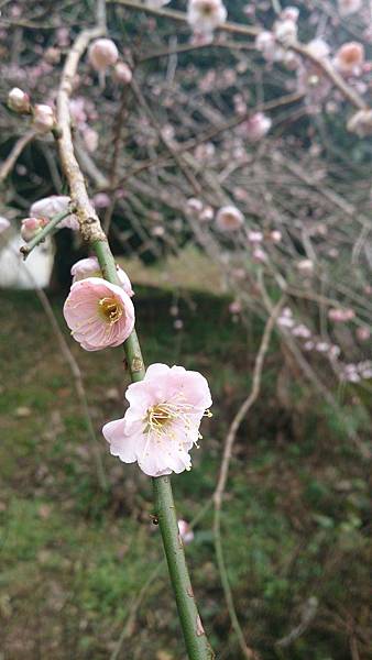 DSC_9121.jpg DSC_9121.jpg