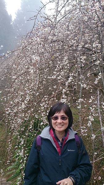 DSC_9128.jpg DSC_9128.jpg