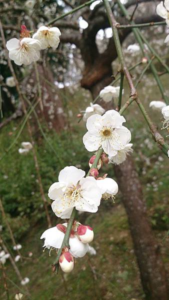 DSC_9141.jpg DSC_9141.jpg