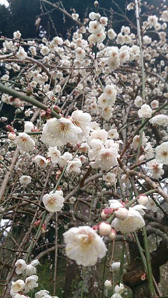 DSC_9143.jpg DSC_9143.jpg