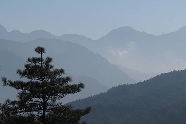 IMG_0605.JPG IMG_0605.JPG