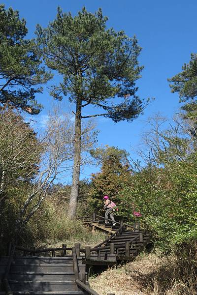 IMG_0612.JPG IMG_0612.JPG