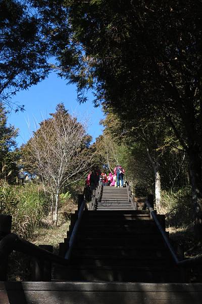 IMG_0619.JPG IMG_0619.JPG