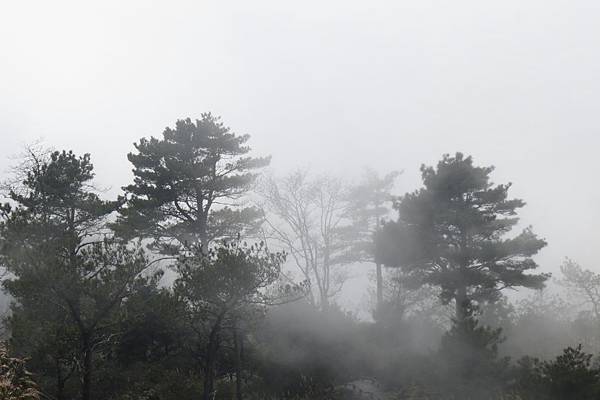 IMG_0630.JPG IMG_0630.JPG