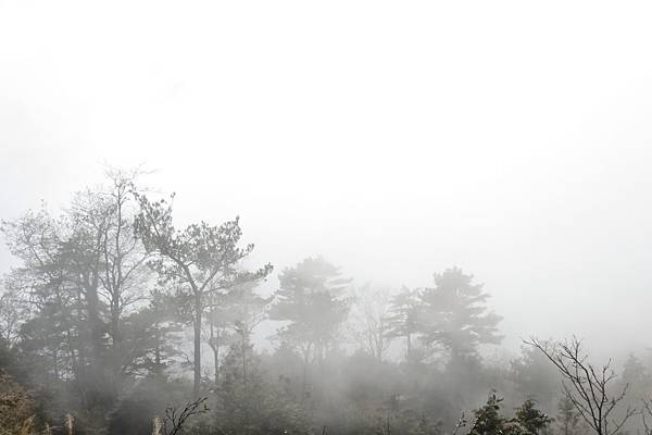 IMG_0632.JPG IMG_0632.JPG