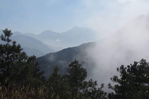 IMG_0634.JPG IMG_0634.JPG