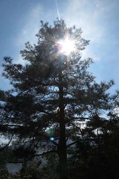 IMG_0636.JPG IMG_0636.JPG