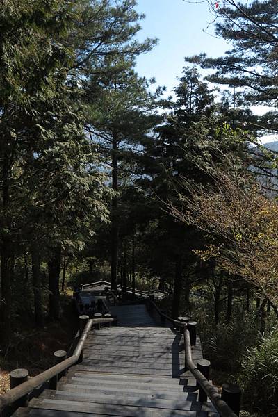 IMG_0641.JPG IMG_0641.JPG