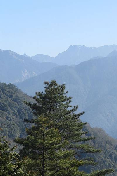 IMG_0642.JPG IMG_0642.JPG