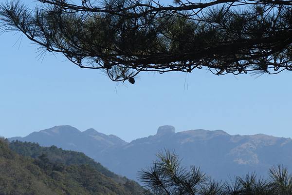 IMG_0650.JPG IMG_0650.JPG