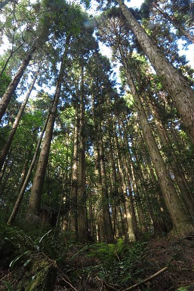 IMG_0656.JPG IMG_0656.JPG