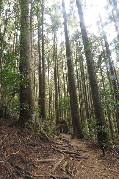 IMG_0663.JPG IMG_0663.JPG