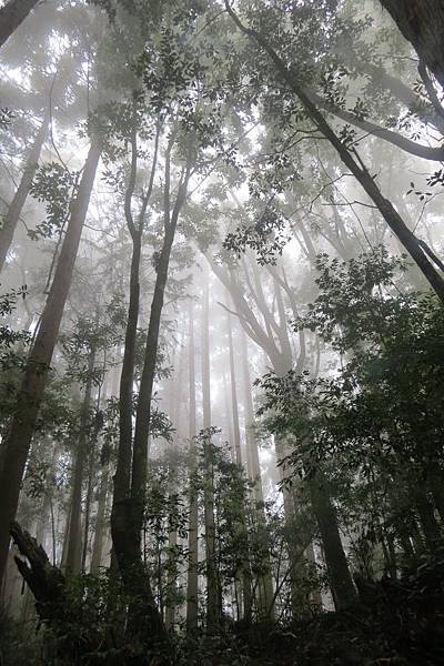 IMG_0682.JPG IMG_0682.JPG