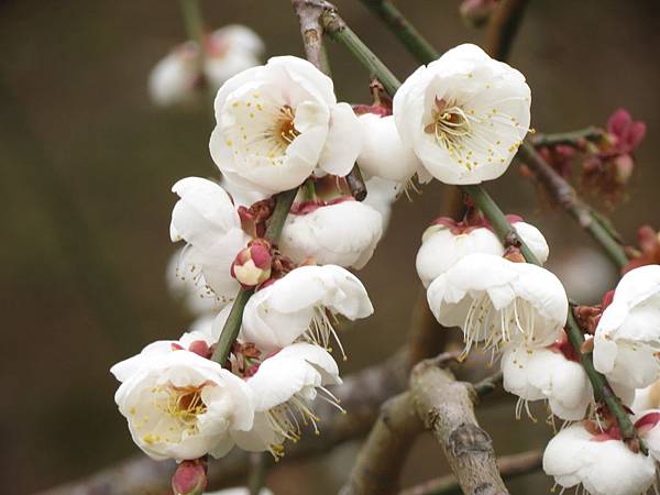 IMG_0691.JPG IMG_0691.JPG