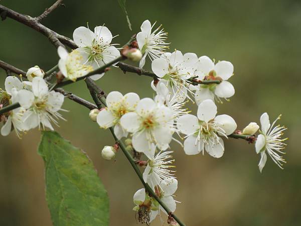 IMG_0712.JPG IMG_0712.JPG