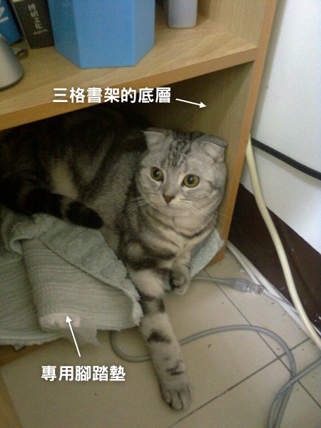 11041307.jpg 11041307.jpg