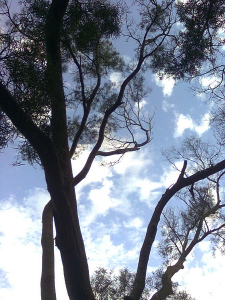 11062606.jpg 11062606.jpg