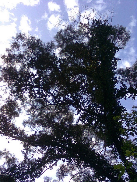 11062607.jpg 11062607.jpg