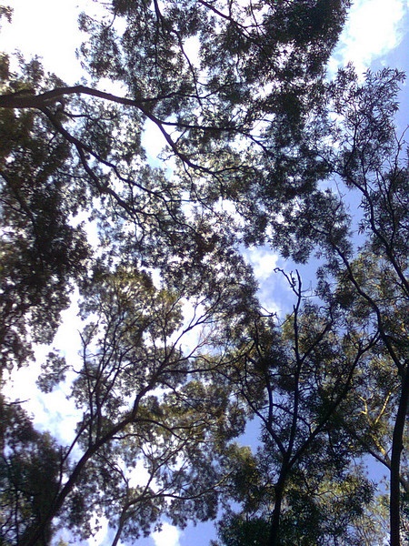 11062609.jpg 11062609.jpg