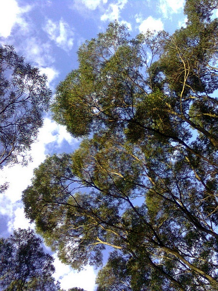 11062610.jpg 11062610.jpg