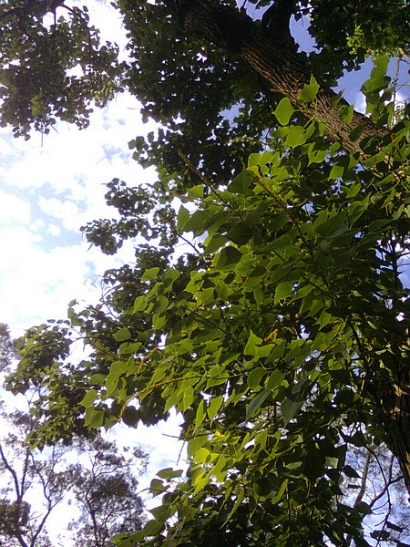 11062612.jpg 11062612.jpg
