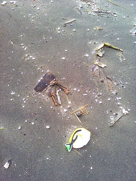 11062620.jpg 11062620.jpg