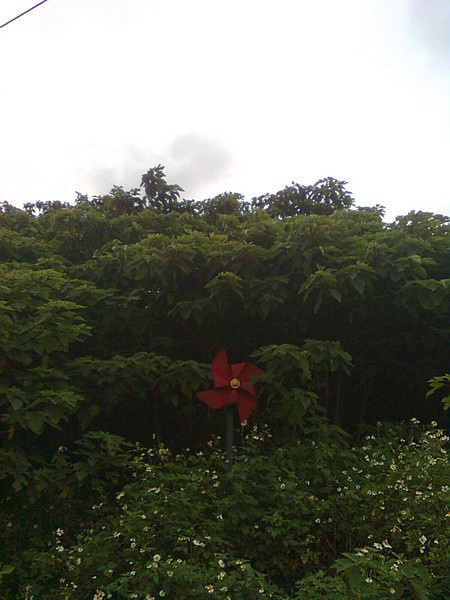 11062621.jpg 11062621.jpg