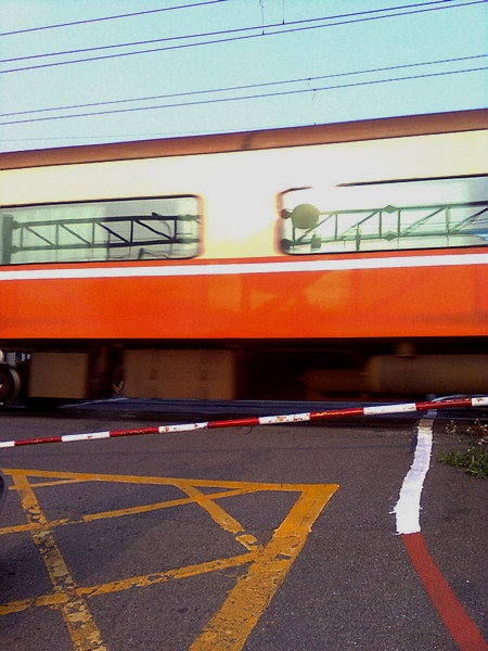 11062622.jpg 11062622.jpg