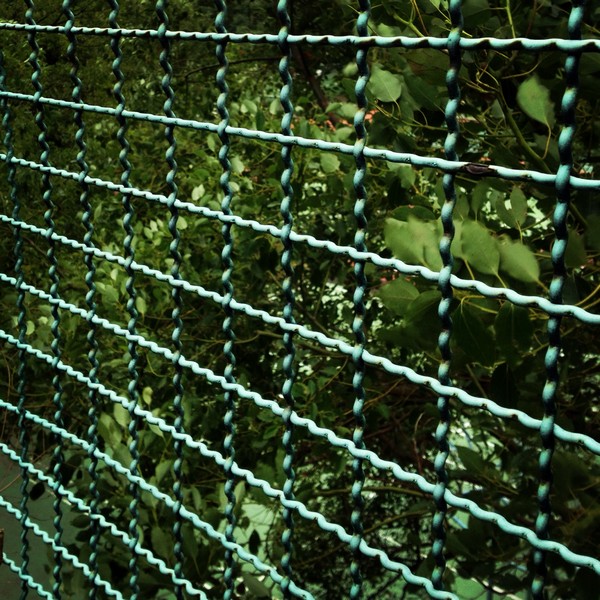 IMG_5717 IMG_5717