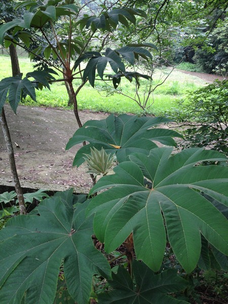 IMG_6908 IMG_6908