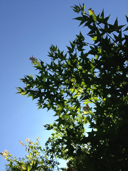 IMG_7028 IMG_7028