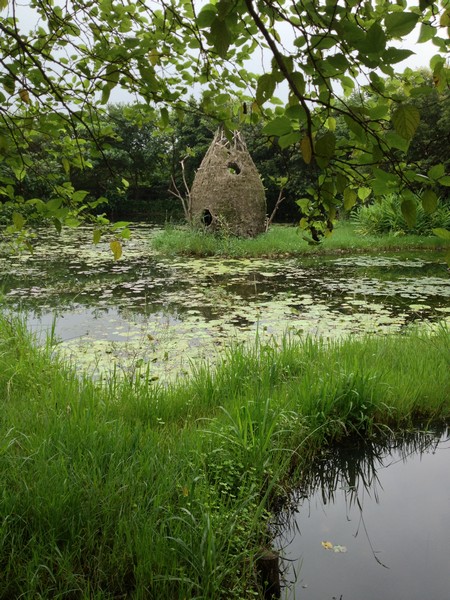 IMG_7077 IMG_7077
