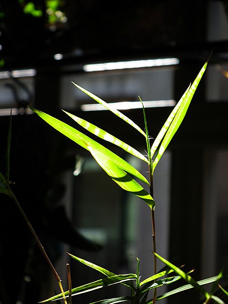 11011709.jpg 11011709.jpg
