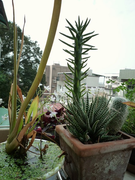 09012004.jpg 09012004.jpg