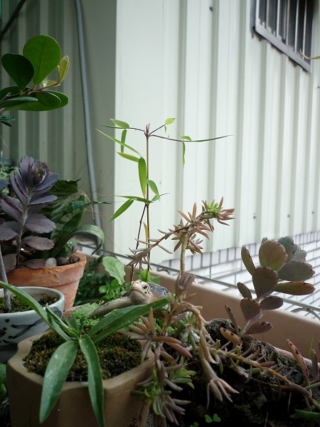 09012009.jpg 09012009.jpg