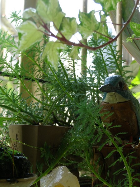 09061643.JPG 09061643.JPG
