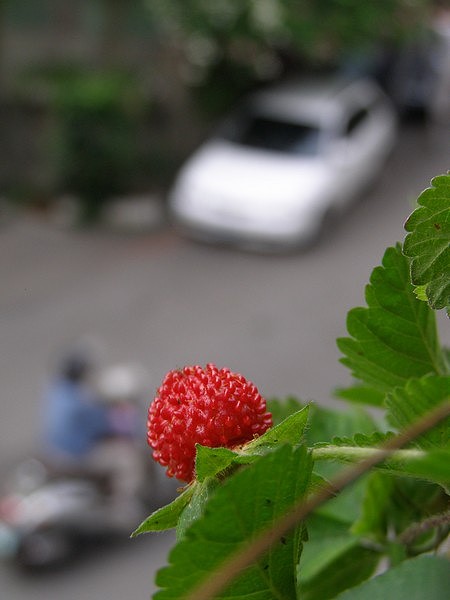 09062424.jpg 09062424.jpg