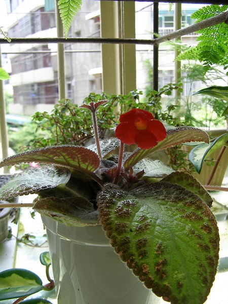 09062409.jpg 09062409.jpg