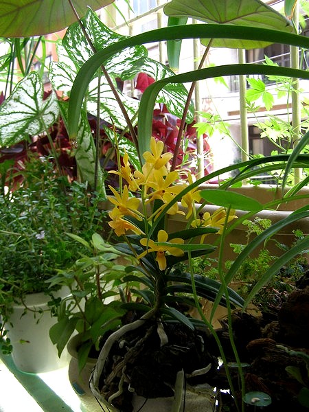 09062414.jpg 09062414.jpg