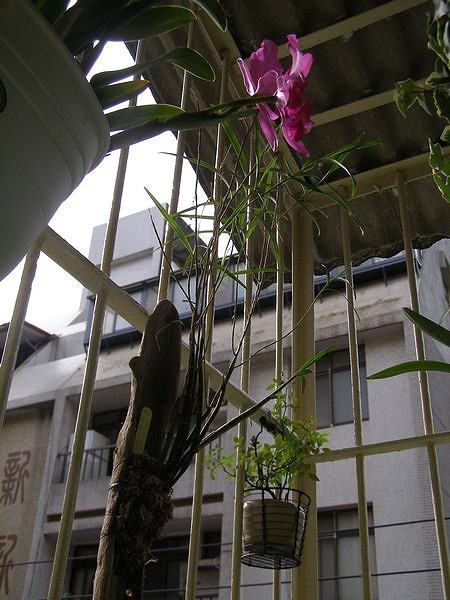 09062422.jpg 09062422.jpg