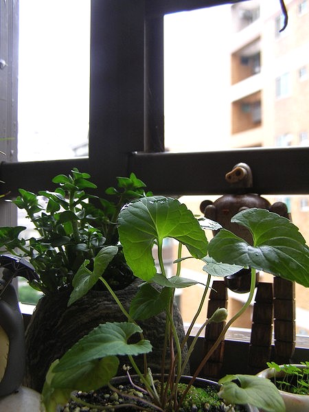 10052904.jpg 10052904.jpg