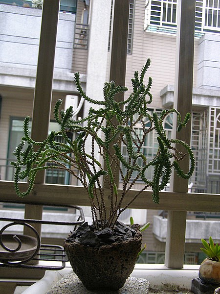 11033005.jpg 11033005.jpg