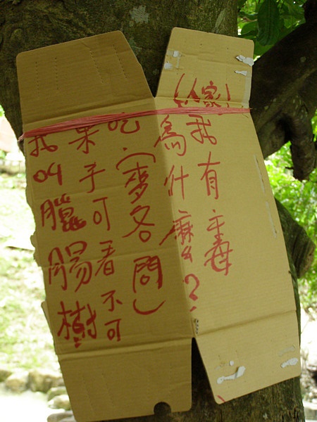 11060602.jpg 11060602.jpg