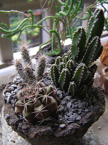 11033001.jpg 11033001.jpg
