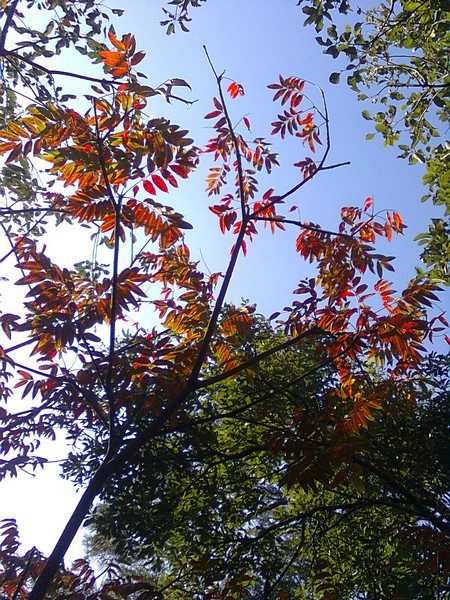 11030814.jpg 11030814.jpg